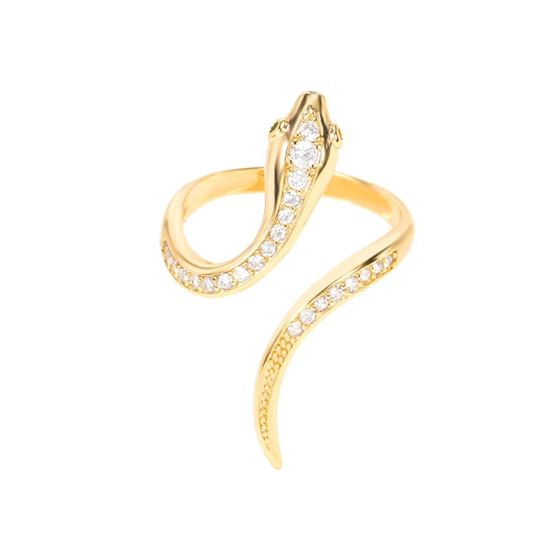 Glamoora- Stainless Steel Rings 01