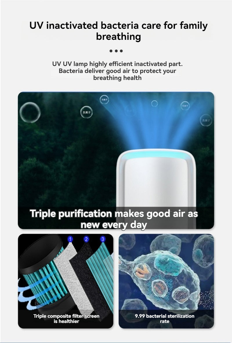 Negative Ions Air Purifier